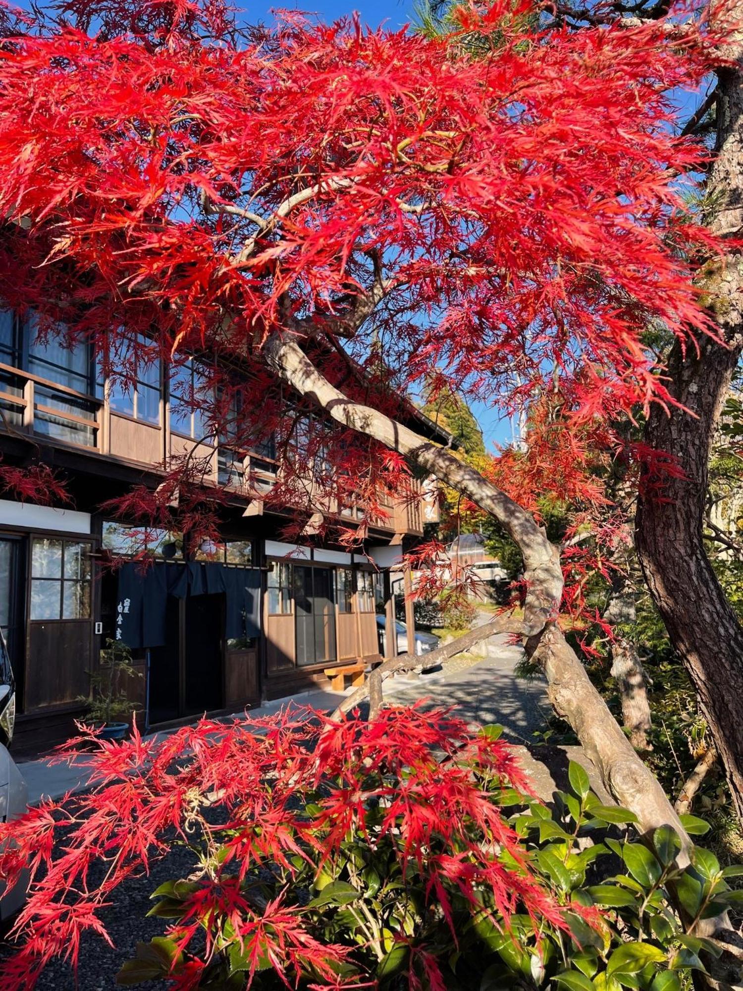 宿屋白金家 Yadoya-Shiroganeya 1日1組限定2名から8名様まで 全館貸切り 伝統的建造物の旅籠宿 Traditional Culture Experience Нагано Экстерьер фото